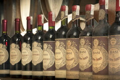 カンポフィオリン